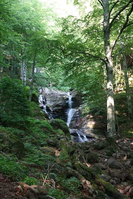Bulgaria 2008 149